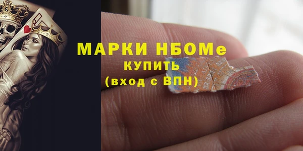 индика Вязники