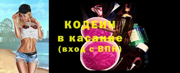индика Вязники