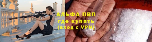 ПСИЛОЦИБИНОВЫЕ ГРИБЫ Горно-Алтайск