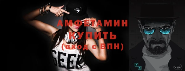 индика Тобольск