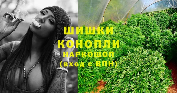 индика Вязники