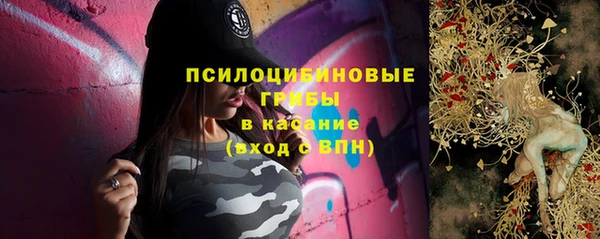 ПСИЛОЦИБИНОВЫЕ ГРИБЫ Горнозаводск