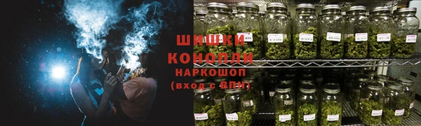 индика Вязники