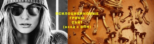 ПСИЛОЦИБИНОВЫЕ ГРИБЫ Горно-Алтайск